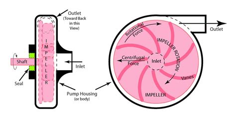 effect reverse rotation centrifugal pump|reverse direction of centrifugal pump.